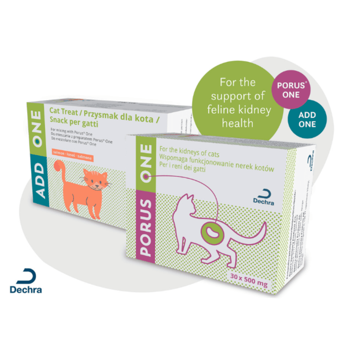 Specific Box of Treats