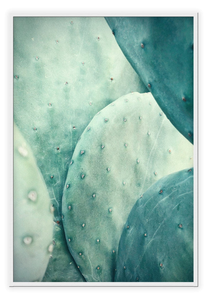 Canvas Print Small 50x70cm / White Cactus Cactus Wall Art : Ready to hang framed artwork. Brand
