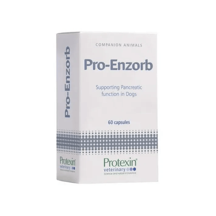 White background with a white box of Protexin Pro-Enzorb for dogs. Text on the box says 'Supporting Pancreatic function in Dogs. 60 capsules.'