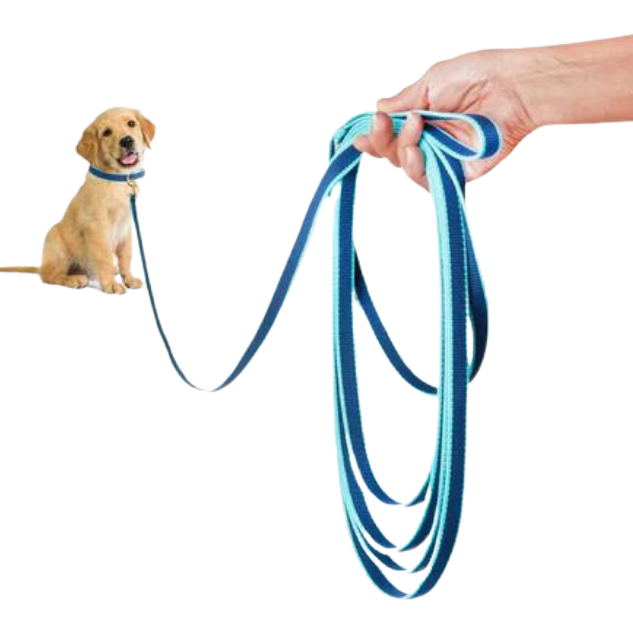 NAVY-AQUA-TRAINING-LEASH