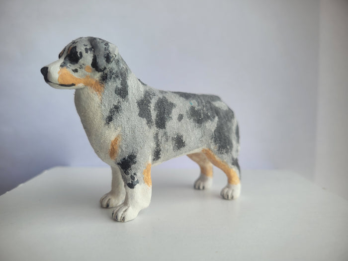 Australian Shepherd Dog - Karl Blindheim