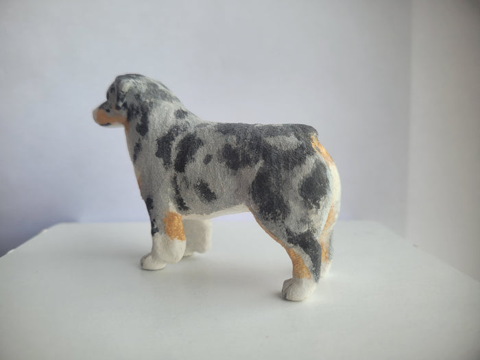 Australian Shepherd Dog - Karl Blindheim