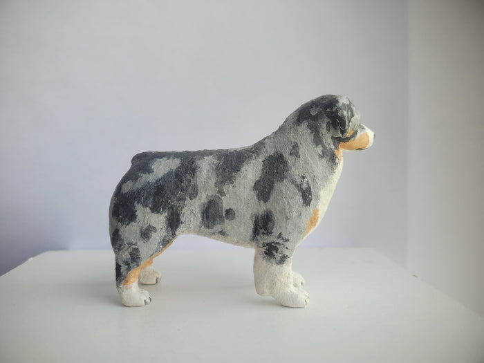Australian Shepherd Dog - Karl Blindheim