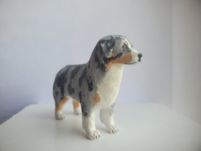 Australian Shepherd Dog - Karl Blindheim