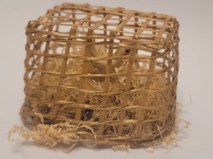 Chicken inside Bamboo Crate