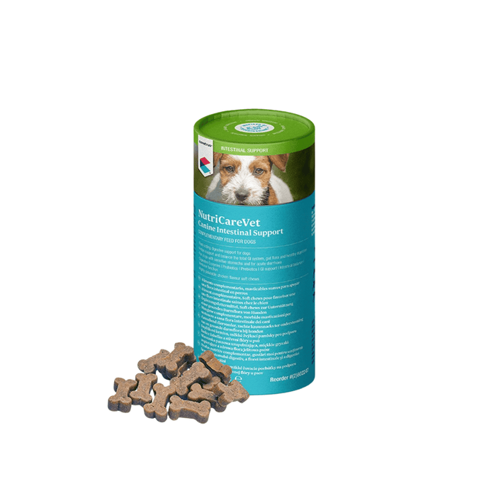 CVET NutriCareVet Canine Intestinal Support Soft Chew 60pk on white background