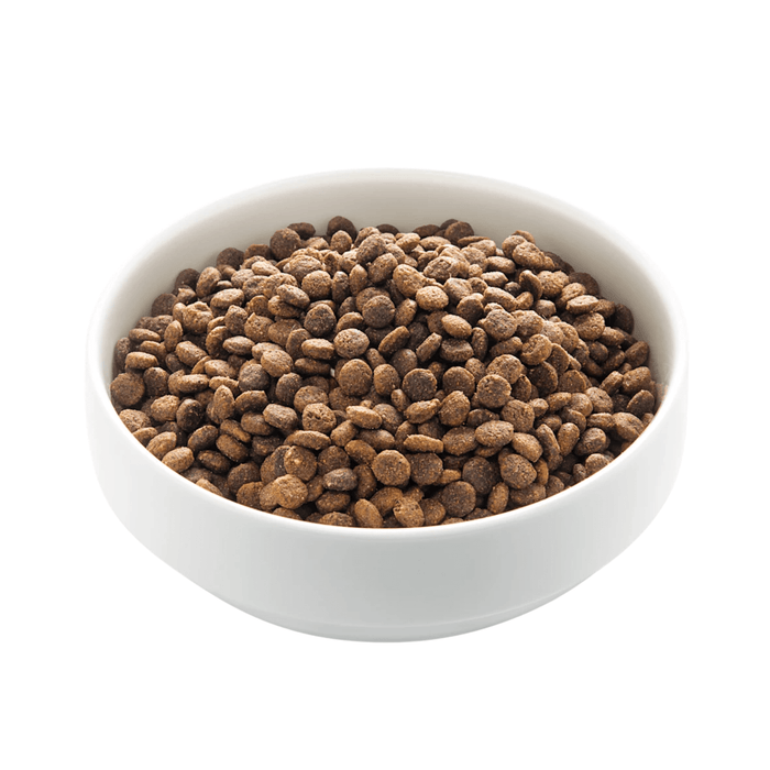 White background with a white bowl of Edgard & Cooper dry adult dog food pictured.