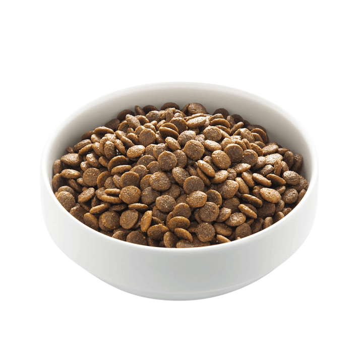 White background with a white bowl of Edgard & Cooper dry adult dog food pictured.