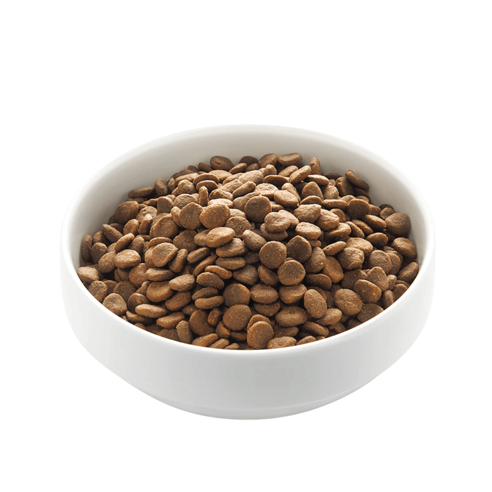 White background with a white bowl of Edgard & Cooper dry puppy food pictured.