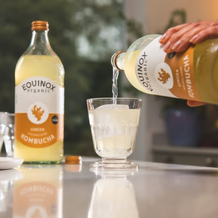 Equinox Kombucha Organic Ginger Soft Drink 275ml