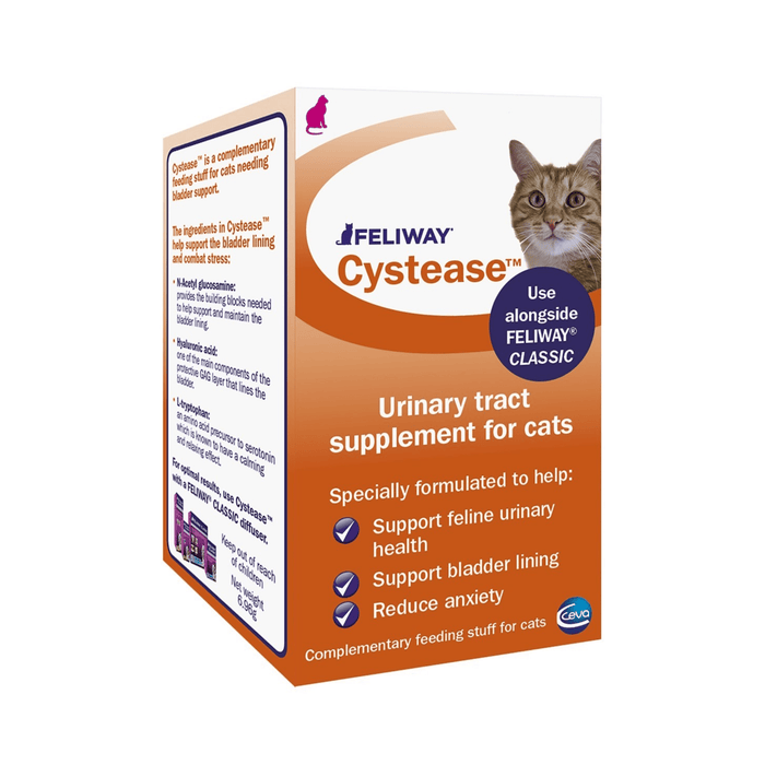 White background with a picture of an orange and white box of Feliway Cystease with a ginger tabby cat pictured. Text on the packet 'Feliway Cystease, Urinary tract supplement for cats, Specially formulated to help: Support feline urinary health, Support bladder lining, Reduce anxiety.'