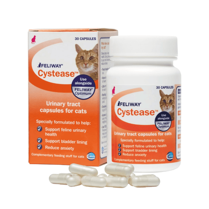 White background with a picture of an orange and white box of 30 capsule Feliway Cystease with a ginger tabby cat pictured. Text on the packet 'Feliway Cystease, Urinary tract supplement for cats, Specially formulated to help: Support feline urinary health, Support bladder lining, Reduce anxiety.' Next to the box is a bottle of the product with the same details as the box. In the foreground is a pile of the capsules.