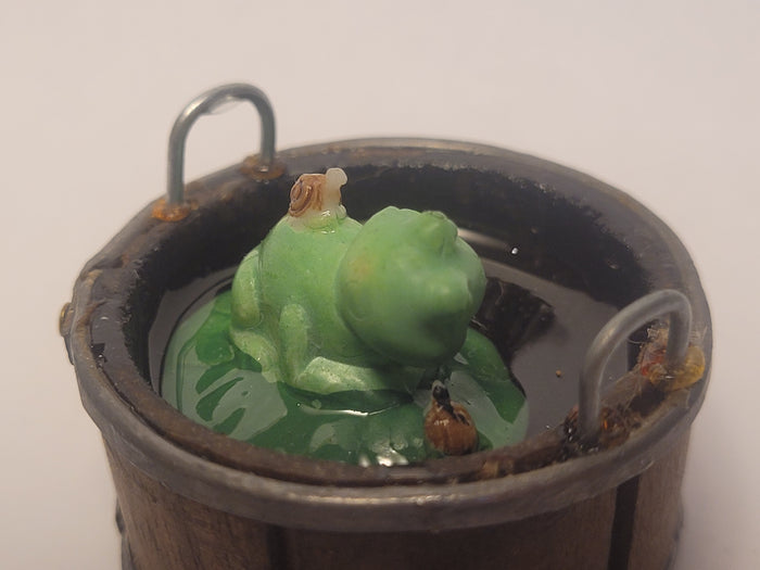 Frog in Bucket with Snail and Turtle