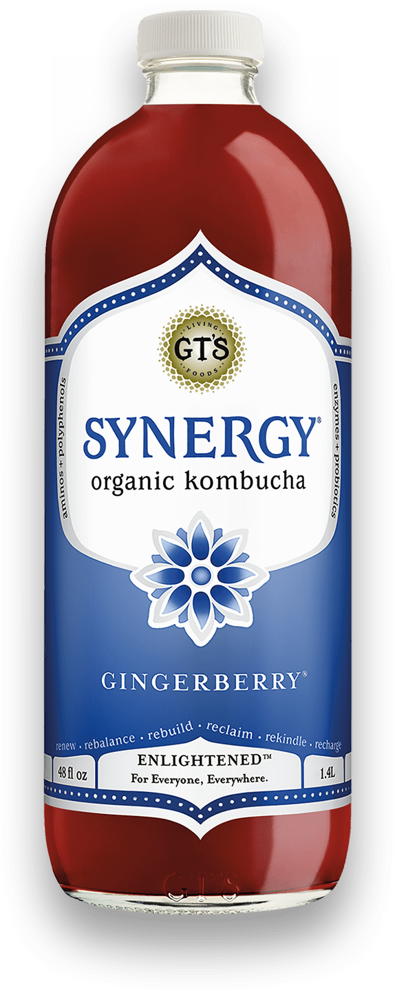 GTS: Kombucha Synergy