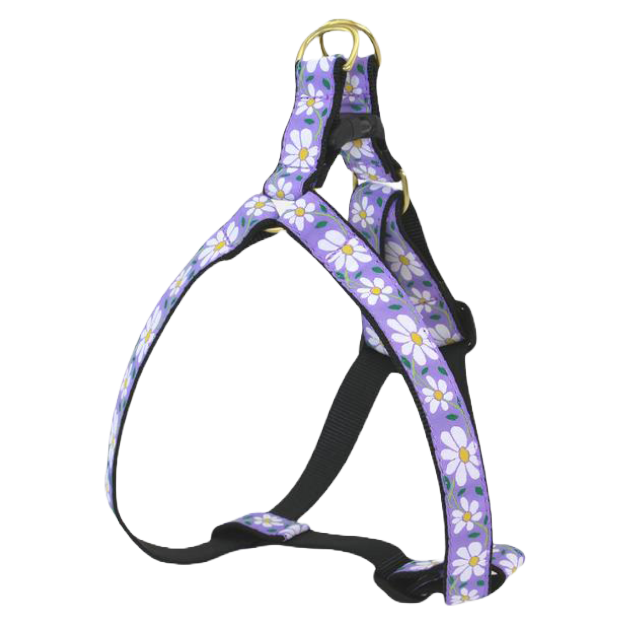 DAISY-DOG-HARNESS