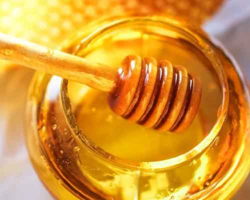 Honey - Premium Fragrance Oil