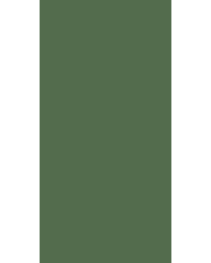 SF 9165