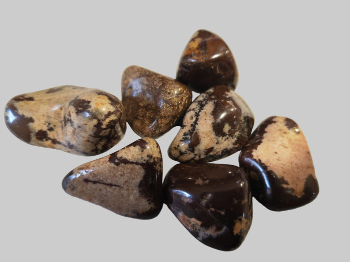 Earthstore® NGUNI African Jasper Tumblestone