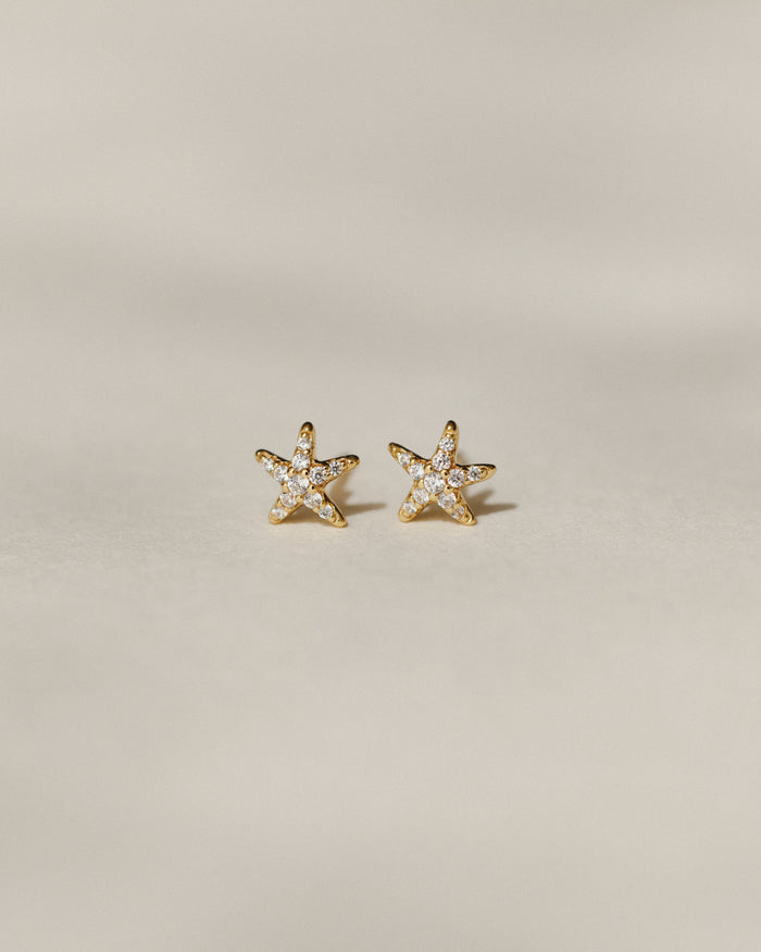 Pavé Sea Star Studs
