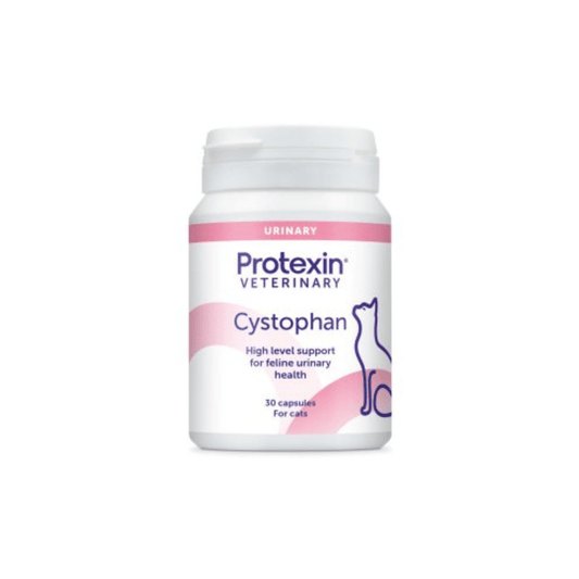 White background with a bottle of Protexin Cystophan 30 capsules picutred. On the bottle is an outline of a cat and text on the bottle reads 'High level support for feline urinary health, 30 capsules for cats'.