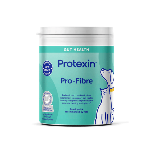 White background with a bottle of Protexin Pro-Fibre for cats and dogs capsules picutred. On the bottle is an illustrated outline of a cat and dog. Text on the box reads 'Prebiotic and postbiotic fibre supplement to support gut health, healthy weight management and promote healthy anal glands.'