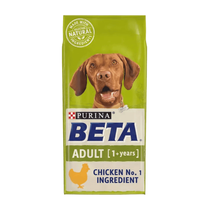 White background with a green bag of Purina Beta Adult Dog Food. Pictured on the bag is a Vizsla dog, text on the bag reads 'Purina Beta, Adult (1+ years) Chicken No.1 Ingredient.'