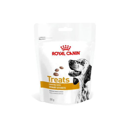 White background with a pouch of Royal Canin Canine Urinary S/O treats with an English Setter dog pictured on the packet, text on the pouch says 'Royal Canin Treats, compatible with Urinary S/O Diets.'