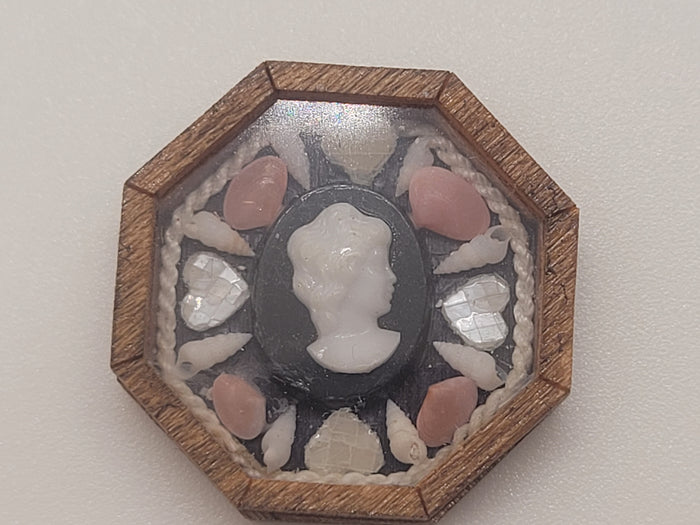 Sailor's Valentine - Tellin and Conch Shells Surrounding Woman's Profile Emblem – by Pam Friend