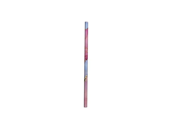 Sublimation Blank Reusable Stainless Steel Straw (φ1.0cm / 0.4inch)