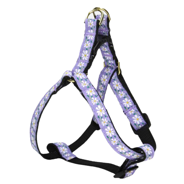 DAISY-DOG-HARNESS-SMALL-BREED-TEACUP