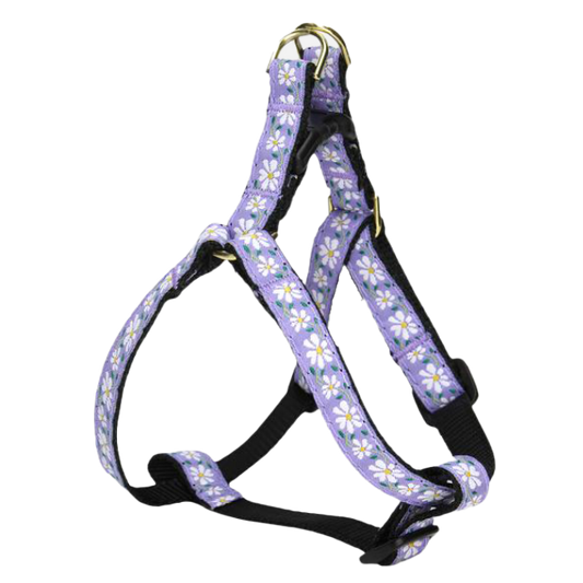 DAISY-DOG-HARNESS-SMALL-BREED-TEACUP