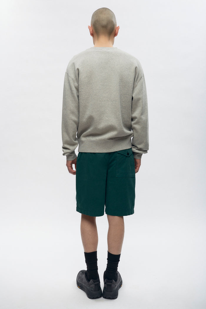 Tefnut Beach Shorts in Sycamore