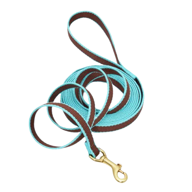 BROWN-AQUA-TRAINING-LEASH