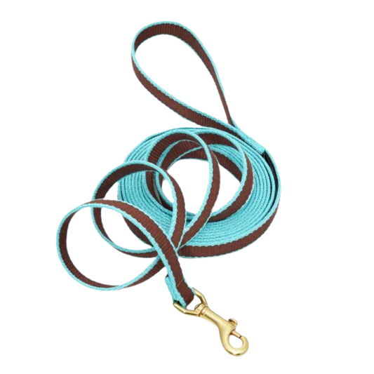 BROWN-AQUA-TRAINING-LEASH