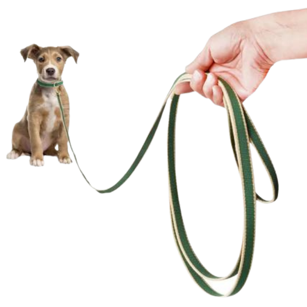 FOREST-TAN-TRAINING-LEASH