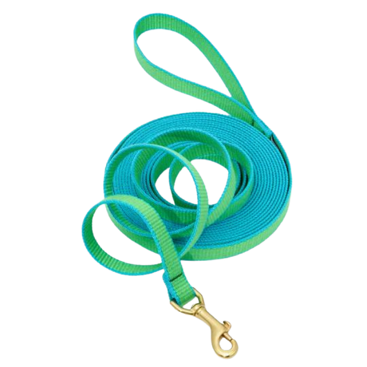 LIME-AQUA-TRAINING-LEASH