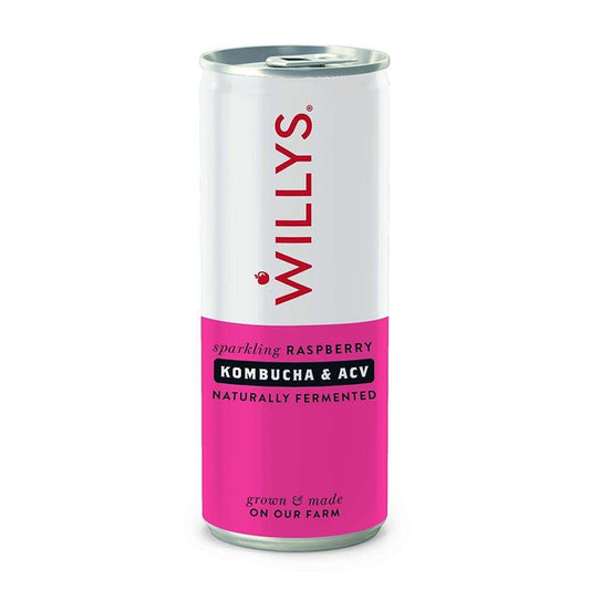 Willy's ACV Kombucha Raspberry 250ml
