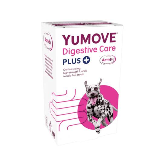 White background with a box of YuMove Digestive care plus for dogs and cats. On the packet is a Dalmatian jumping out of a pink circle. Additional text on the box reads 'Our fast-acting, high-strength formula to help firm stools.'
